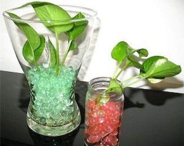 تصویر 4 از راهنمای خرید خاک ژله ای کشاورزی + قیمت عالی